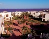 shores_aloha_4.jpg